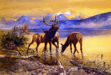 インディアナ カウボーイ Painting - マクドナルド湖のヘラジカ 1906年 チャールズ・マリオン・ラッセル インディアナ州のカウボーイ